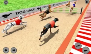 Đua Chó Tại 999Bet