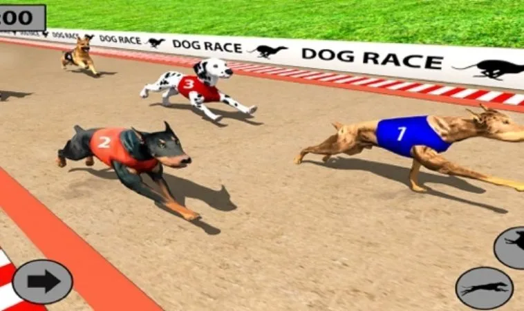 Cách chơi game nhanh Đua Chó Tại 999Bet