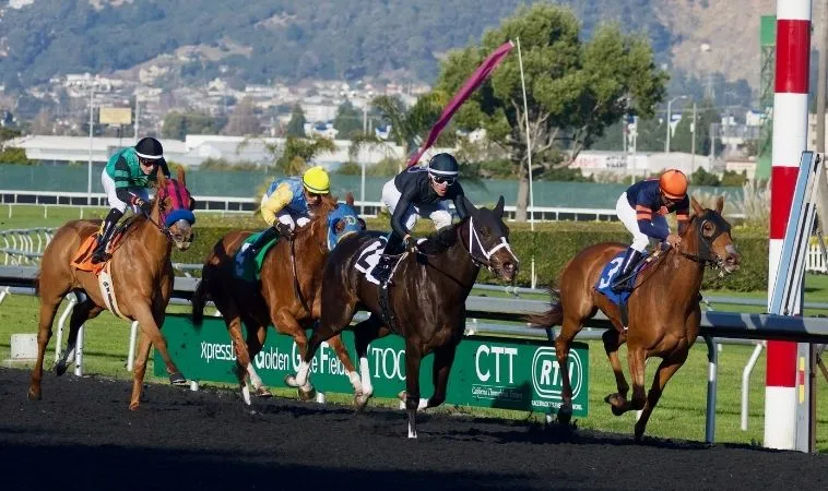 Hướng Dẫn Chi Tiết Cá Cược Đua Ngựa 999Bet Cho Người Chơi Mới 2 Cần tìm hiểu về bộ môn Đua ngựa 999Bet trước khi cá cược