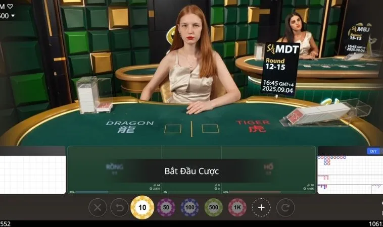 Các cửa cược trong Dragon Tiger 999Bet